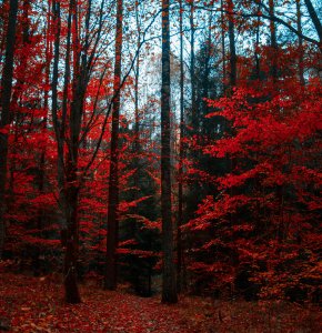 creative-01 Creative 01