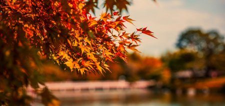 digital-01 Digital 01